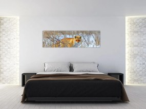 Obraz - Lis (170x50 cm)