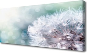 Obraz na płótnie Złocisty Mniszek na Wietrze