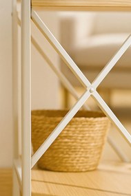 Rega Lesly z 3 pókami