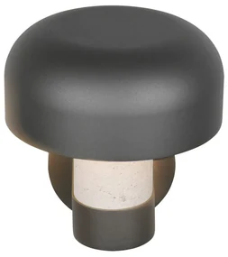 Zewnętrzna lampa ścienna (wysokość 24,5 cm) Fraser – Trio