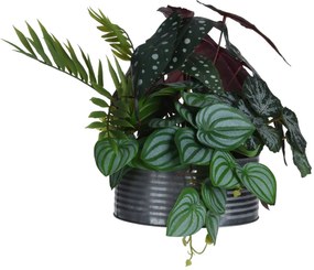 Sztuczny kwiat w doniczce Begonia maculata, 28 cm