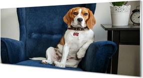 Panel Kuchenny Szklany Spokojny Siedzący Pupil