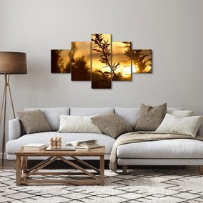 Obraz - słońce zachodzące za drzewami (125x70 cm)