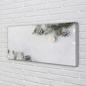 Obraz na płótnie Gałązki i Szyszki