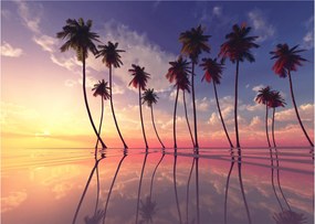 Obraz palm wznoszących się nad powierzchnią (70x50 cm)