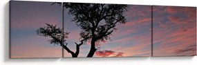Obraz - Drzewo i czerwonawe odcienie (170x50 cm)