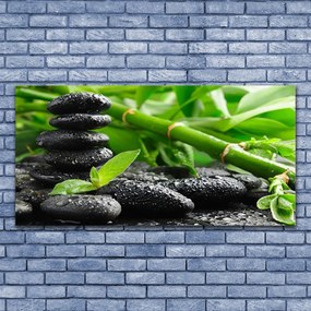 Fotoobraz na płótnie Zielona Świeżość Bambusa