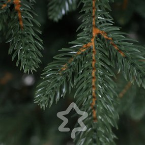 Świerk kanadyjski 100% 150 cm