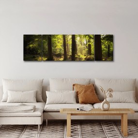 Obraz sennego lasu (170x50 cm)