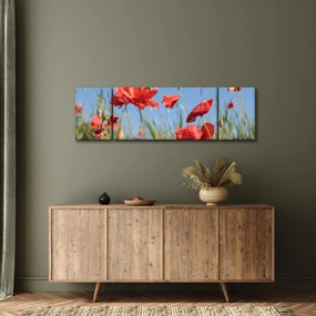 Obraz - Maki (170x50 cm)