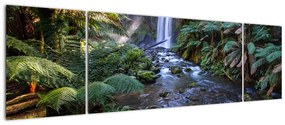 Obraz australijskiego lasu deszczowego (170x50 cm)