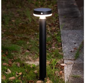 Zuma Line PT33613 - Lampa solarna CARLI LED/4,5W/2000 mAh IP44 czarna