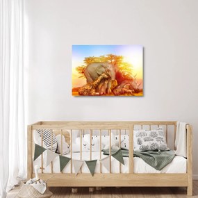 Obraz na szkle zwierząt afrykańskich (70x50 cm)