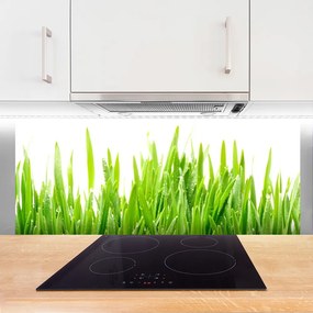 Szkło Ozdobne do Kuchni Poranna Rosa Na Trawie