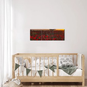 Obraz łąki z makami (z zegarem) (90x30 cm)