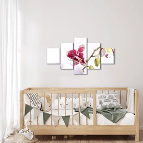 Obraz kwiatu orchidei (125x70 cm)