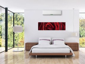 Obraz - Czerwona róża z kroplami rosy (170x50 cm)