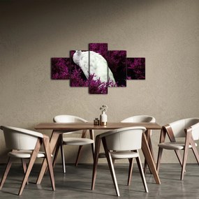 Obraz - Biały paw (125x70 cm)