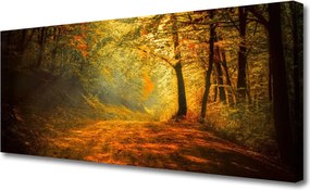 Fotoobraz na płótnie Leśna Ścieżka w Słońcu
