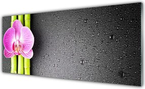 Panel Szklany do Kuchni Duet Bambusa i Orchidei