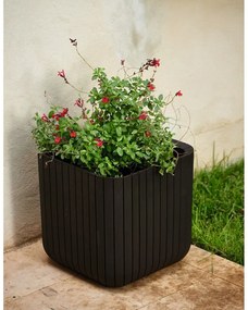 Plastikowa doniczka Cube – Keter