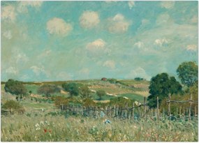 Obraz na szkle - Alfred Sisley,  Meadow, reprodukcje (70x50 cm)