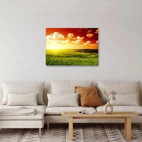 Obraz łąki ze świecącym słońcem (70x50 cm)