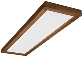 Brilagi-Ściemnialne oświetlenie LED WOODY FRAME LED/50W/230V dąb 120x30 cm IP44 +pilot