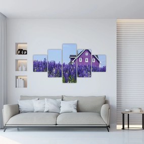 Obraz lawendowego pola (125x70 cm)