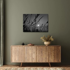 Obraz - Łąka z zachodem słońca (70x50 cm)