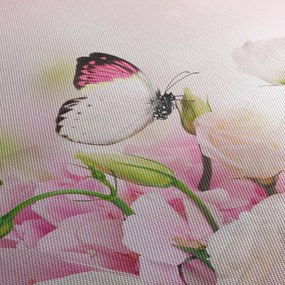Obraz - Motyl (70x50 cm)