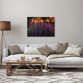 Obraz na szkle kwiatów łubinu (70x50 cm)