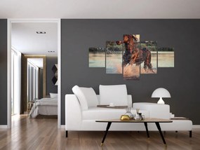 Obraz - Biegnący koń (125x70 cm)