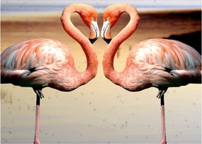 Obraz - dwa flamingi (70x50 cm)