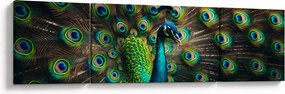 Obraz – Paw (170x50 cm)