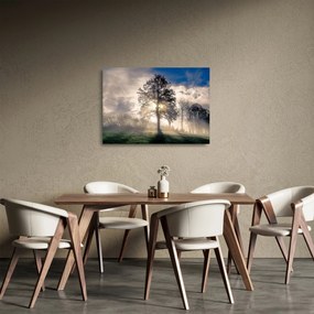 Obraz na szkle - drzewo we mgle (70x50 cm)