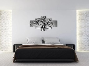Obraz - Czarno - białe drzewo (125x70 cm)
