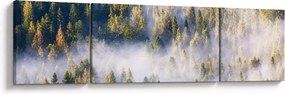Obraz drzew we mgle (170x50 cm)