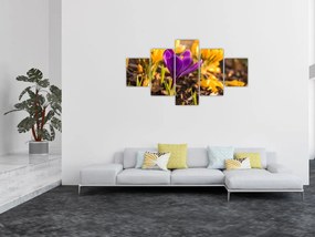 Obraz fioletowego kwiatu (125x70 cm)