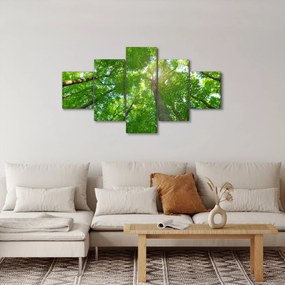 Obraz - Las (125x70 cm)