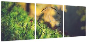 Obraz mchu z grzybem (z zegarem) (90x30 cm)