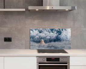 Szklany Panel Pies w Zimowych Górach