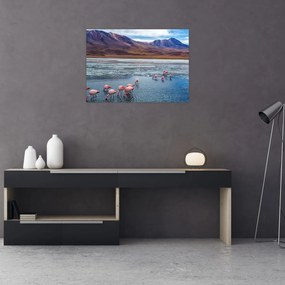 Obraz - Flamingi (70x50 cm)