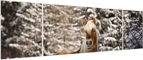 Obraz - Koń w zimowym krajobrazie (170x50 cm)