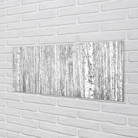 Panel szklany do Kuchni Czarno-Biały Bór Leśny