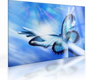 Obraz na szkle - Motyl, symbol nadziei (70x50 cm)