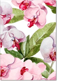Foto-obraz szkło hartowane pionowy Orchidea