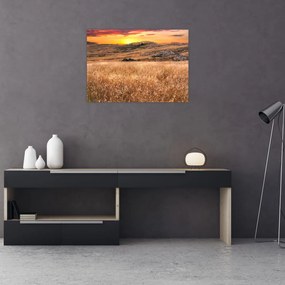 Obraz pola (70x50 cm)