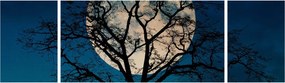 Obraz drzewa z pełnią księżyca (170x50 cm)