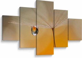 Obraz - Makro kwiat (125x70 cm)